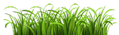 elements